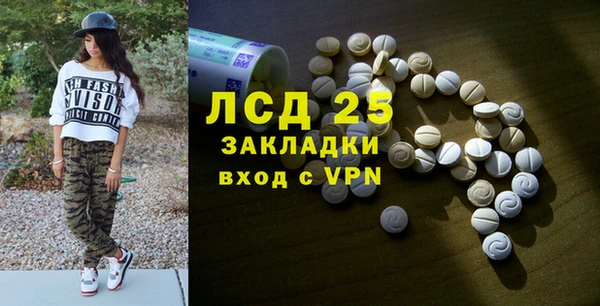 эйфоретик Алзамай