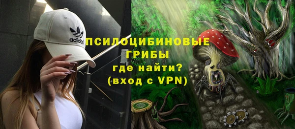 ALPHA-PVP Осинники