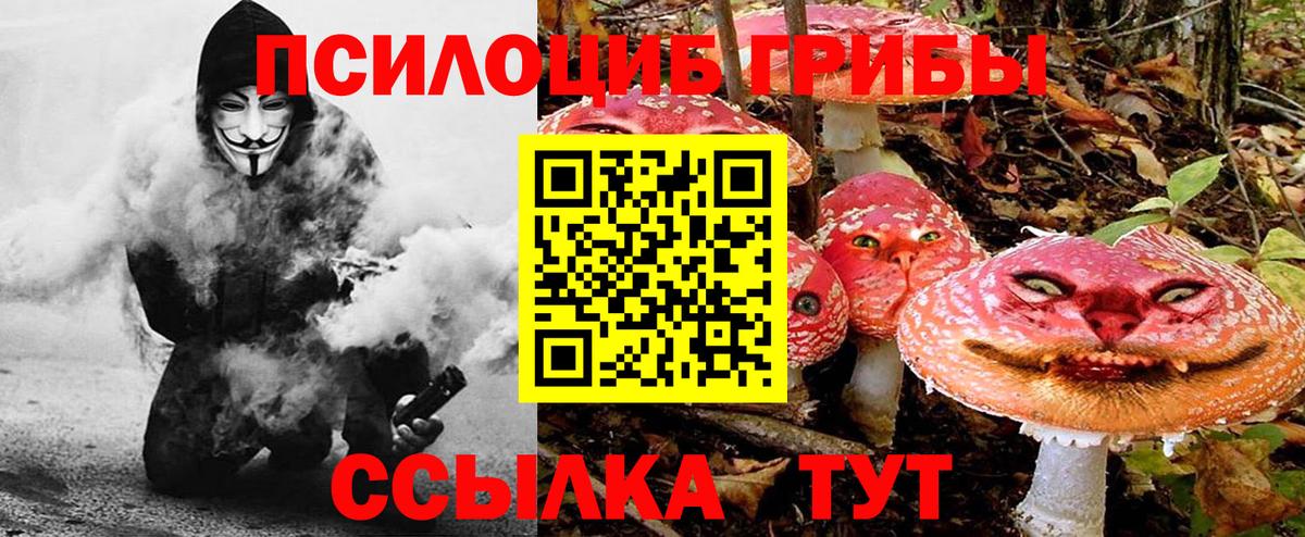 Галлюциногенные грибы мухоморы Йошкар-Ола